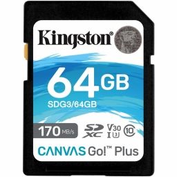 KINGSTON SDG3/64GB